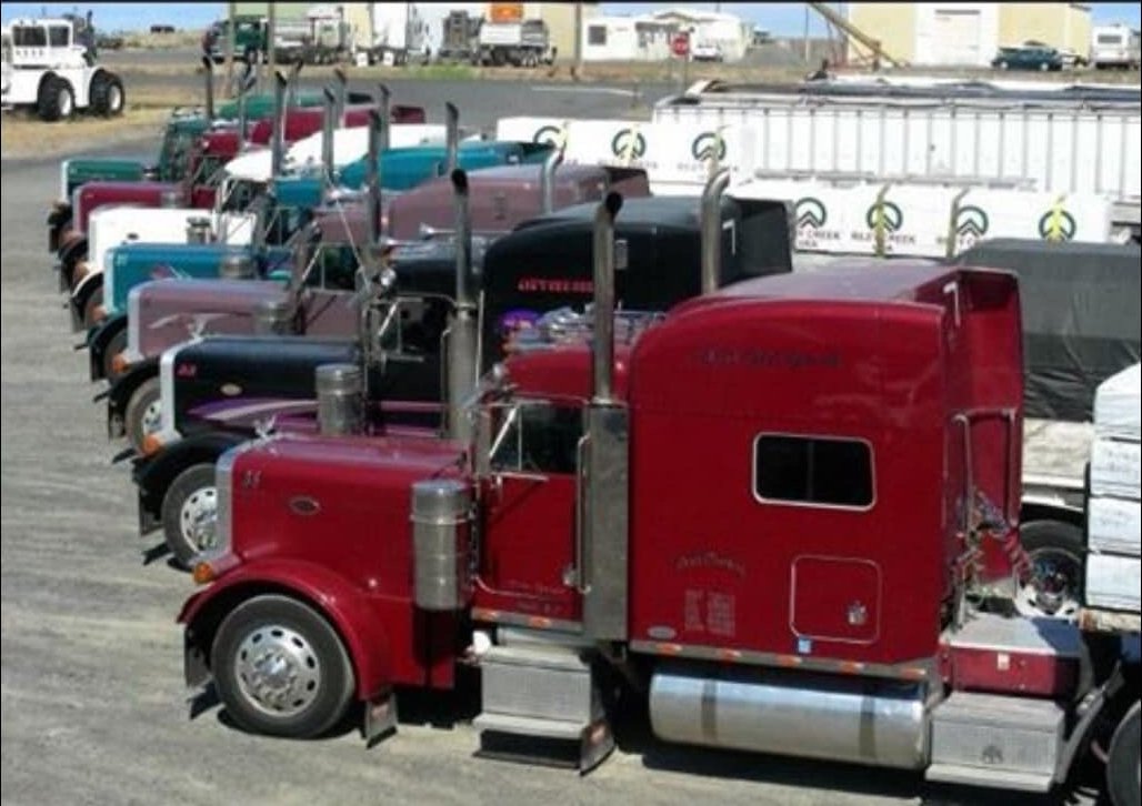 A row of Peterbilt trucks from Polo Garza Jr.'s fleet lined up in a yard